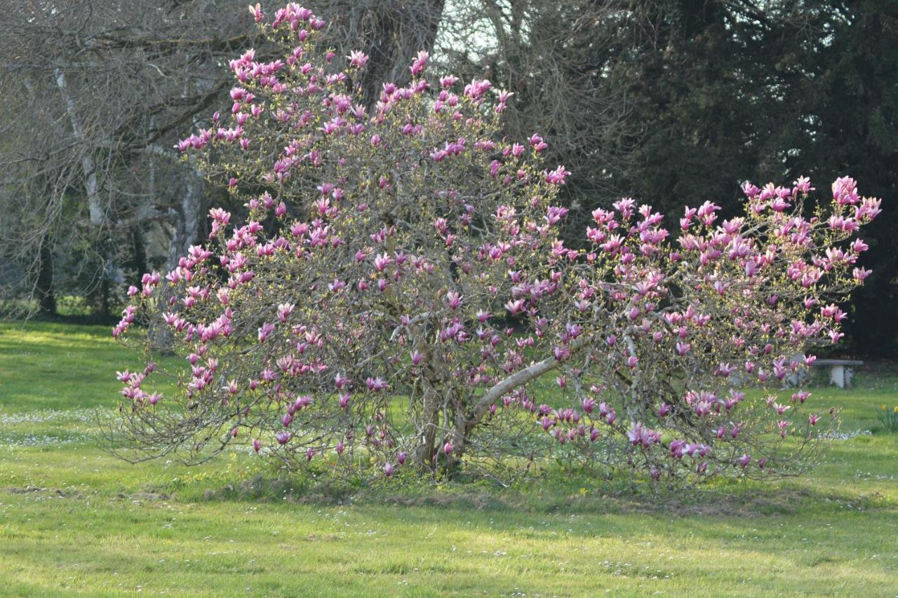 Gite La Grande Racinaie Cre-sur-Loir Buitenkant foto